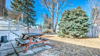 Photo 40: 5908 Dalkeith Hill NW in Calgary: Dalhousie Detached for sale : MLS®# A2019526