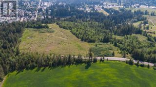 Photo 8: 6810 Park Hill Road Road NE Unit# PL6 in Salmon Arm: Vacant Land for sale : MLS®# 10284245