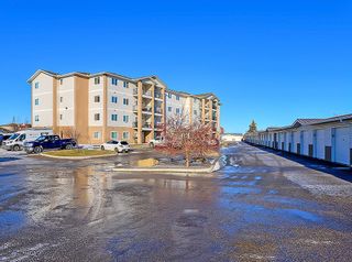 Photo 28: 307 300 Edwards Way NW: Airdrie Apartment for sale : MLS®# A2013227