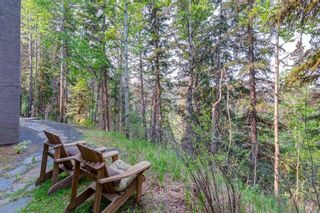 Photo 44: 16 Pinehurst Drive: Rural Foothills County Detached for sale : MLS®# A2049844