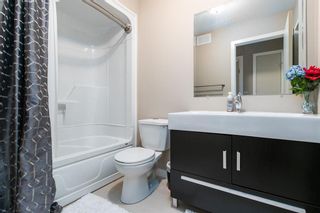 Photo 14: 381 Queen Street in Winnipeg: St James Residential for sale (5E)  : MLS®# 202025695