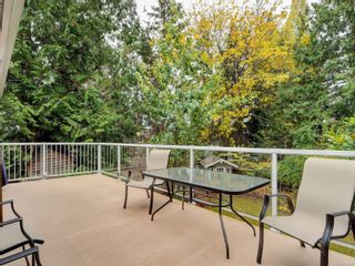 Photo 31: 2505 Tanner Rd in Central Saanich: CS Tanner House for sale : MLS®# 918332