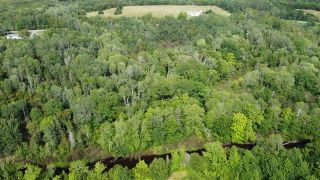 Photo 4: PARCEL A Barneys River Road in Avondale: 108-Rural Pictou County Vacant Land for sale (Northern Region)  : MLS®# 202016062