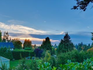 Photo 31: 2737 CRESCENT Drive in Surrey: Crescent Bch Ocean Pk. House for sale in "Crescent Heights" (South Surrey White Rock)  : MLS®# R2842072