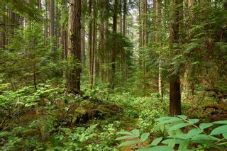 Photo 1: Lot 1 MOUNTAIN Highway in North Vancouver: Lynn Valley Land for sale : MLS®# R2854726