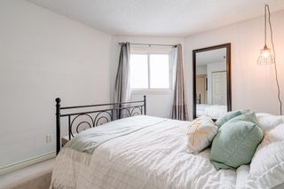 Photo 15: 303 607 7 Avenue NE in Calgary: Renfrew Apartment for sale : MLS®# A2033863