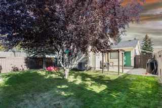 Photo 2: 220 Scenic Way NW in Calgary: Scenic Acres Detached for sale : MLS®# A2003478