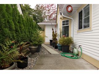 Photo 20: 25 21138 88TH Avenue in Langley: Walnut Grove Townhouse for sale in "Spencer Green" : MLS®# F1323344