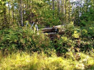 Photo 9: DL 871 Calvert Island in See Remarks: Other Boards Land for sale : MLS®# 913323