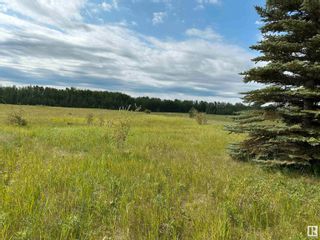 Photo 3: 71 15025 TWP RD 470: Rural Wetaskiwin County Vacant Lot/Land for sale : MLS®# E4356112