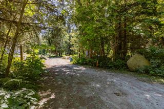 Photo 16: 146 DOGHAVEN Lane in Squamish: Upper Squamish Land for sale in "Upper Squamish" : MLS®# R2602949
