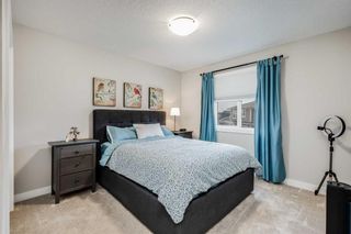 Photo 21: 554 Bayview Way SW: Airdrie Detached for sale : MLS®# A2105862
