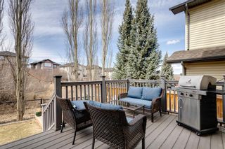 Photo 10: 37 Cresthaven Rise SW in Calgary: Crestmont Detached for sale : MLS®# A1210302