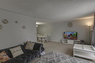 Photo 5: 53 & 55 Dovercliffe Way SE in Calgary: Dover Duplex for sale : MLS®# A1178005