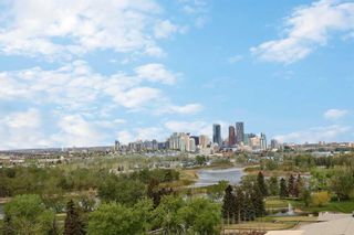 Photo 43: 139 2727 28 Avenue SE in Calgary: Dover Apartment for sale : MLS®# A2128183
