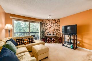 Photo 5: 212 10160 RYAN Road in Richmond: South Arm Condo for sale in "STORNOWAY" : MLS®# R2581547