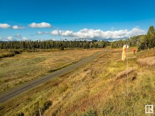 Photo 41: Rural Quesnel Hydraulic Road: Out of Province_Alberta House for sale : MLS®# E4302455