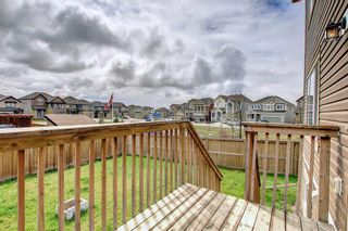 Photo 45: 320 VIEWPOINTE Terrace: Chestermere Semi Detached for sale : MLS®# A1215425