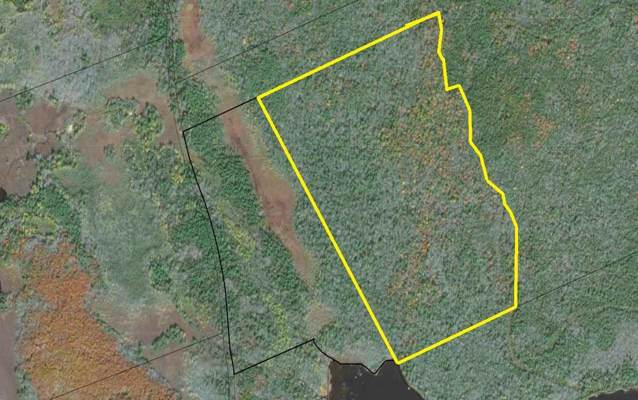 Main Photo: Lot Pells Road in Lake George: 407-Shelburne County Vacant Land for sale (South Shore)  : MLS®# 201927363