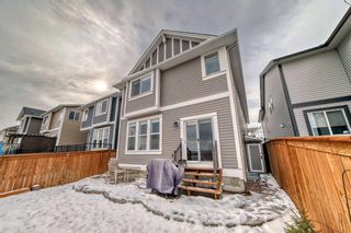 Photo 44: 149 Williamstown Park NW: Airdrie Detached for sale : MLS®# A2119301