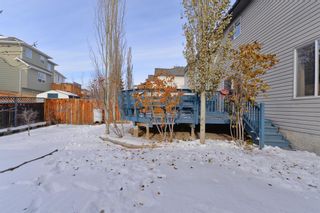 Photo 5: 206 Citadel Estates Heights NW in Calgary: Citadel Detached for sale : MLS®# A2032167