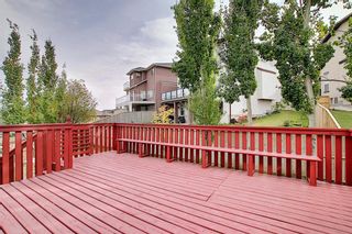 Photo 20: 11 SHERWOOD Grove NW in Calgary: Sherwood Detached for sale : MLS®# A1036541