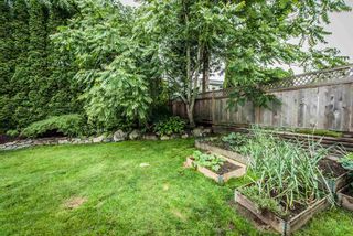 Photo 18: 8233 FUJINO STREET in Mission: Mission BC House for sale : MLS®# R2080943