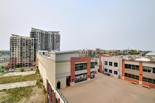 Photo 36: 1017 8880 Horton Road SW in Calgary: Haysboro Apartment for sale : MLS®# A1223060