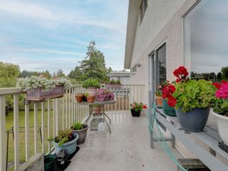 Photo 20: 1141/1143 Wychbury Ave in Esquimalt: Es Saxe Point Full Duplex for sale : MLS®# 887356