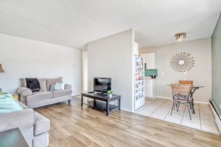 Photo 4: 31 1703 11 Avenue SW in Calgary: Sunalta Apartment for sale : MLS®# A2032556