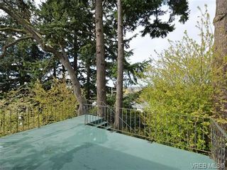 Photo 11: 3510 Richmond Rd in VICTORIA: SE Mt Tolmie House for sale (Saanich East)  : MLS®# 703026