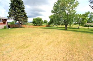 Photo 17: 312 County Rd 41 Road in Kawartha Lakes: Rural Bexley House (Bungalow) for sale : MLS®# X4149574