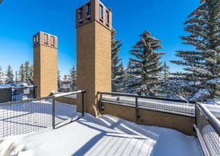 Photo 13: 5 215 Village Terrace SW in Calgary: Patterson Apartment for sale : MLS®# A2011286