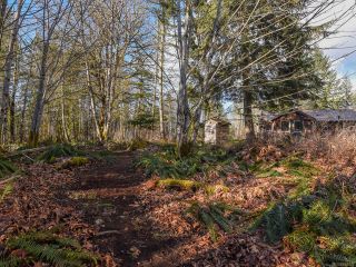 Photo 47: 3699 Burns Rd in COURTENAY: CV Courtenay West House for sale (Comox Valley)  : MLS®# 834832
