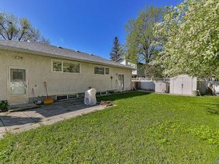Photo 4: 5 Wedgewood Drive in Winnipeg: University Heights Residential for sale (1K)  : MLS®# 202313645