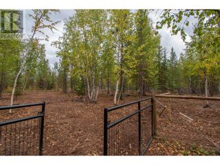 Photo 28: 13055 CANYON ROAD in Smithers: House for sale : MLS®# R2815288
