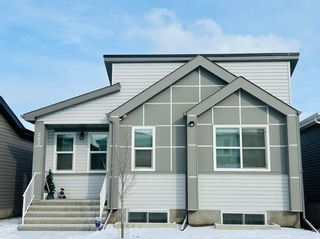 Main Photo: 263 Seton Villas SE in Calgary: Seton Detached for sale : MLS®# A2107464