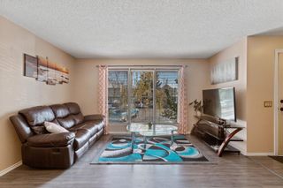 Photo 6: 23 Erin Woods Place SE in Calgary: Erin Woods Detached for sale : MLS®# A1043975