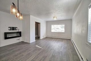 Photo 10: 8631 48 Avenue NW in Calgary: Bowness Detached for sale : MLS®# A2130721