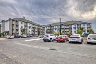 Photo 28: 1405 6118 80 Avenue NE in Calgary: Saddle Ridge Apartment for sale : MLS®# A2081706