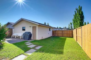 Photo 32: 268 Coventry Close NE in Calgary: Coventry Hills Detached for sale : MLS®# A1233815