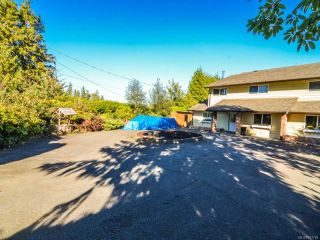 Photo 47: 3974 Dillman Rd in CAMPBELL RIVER: CR Campbell River South House for sale (Campbell River)  : MLS®# 771784