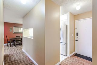 Photo 3: 304 21 Dover Point SE in Calgary: Dover Apartment for sale : MLS®# A2012271