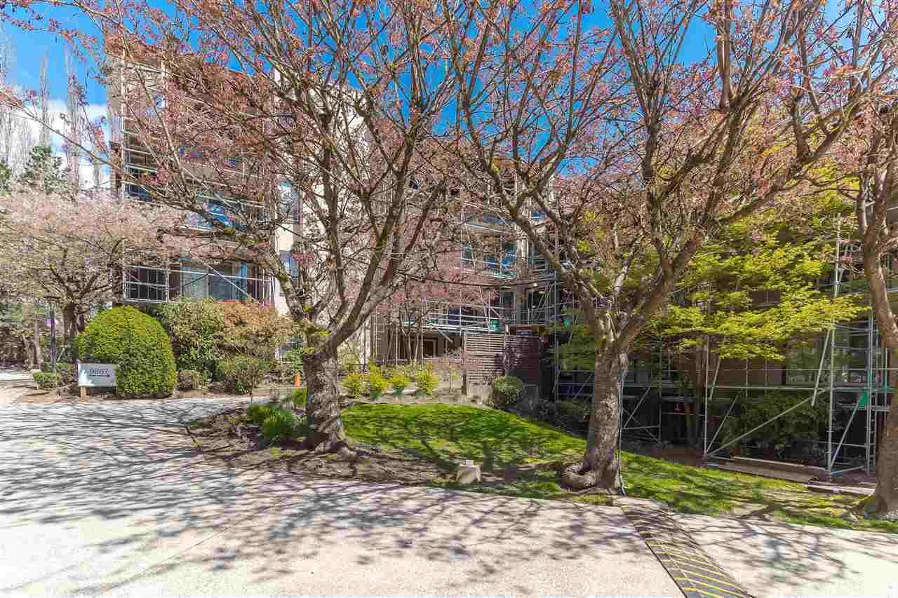 Main Photo: 309 9867 MANCHESTER DRIVE in Burnaby: Cariboo Condo for sale (Burnaby North)  : MLS®# R2260365