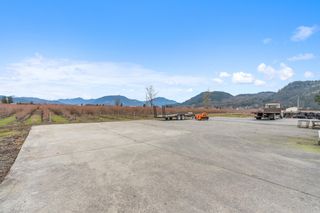 Photo 12: 34659 TOWNSHIPLINE Road in Abbotsford: Matsqui Agri-Business for sale : MLS®# C8057829