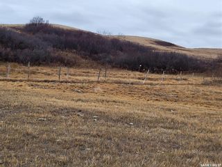 Photo 15: Unity 318 acres Grain and Pastureland in Round Valley: Farm for sale (Round Valley Rm No. 410)  : MLS®# SK951365