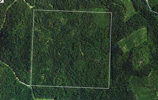 Photo 10: SE 1/4 Section 34 Eagle Bay Road, in Eagle Bay: Vacant Land for sale : MLS®# 10246374