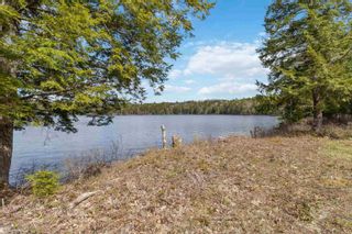Photo 16: 280 Maders Mill Road in Blockhouse: 405-Lunenburg County Vacant Land for sale (South Shore)  : MLS®# 202308722