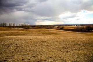 Photo 7: On Range Road 244: Rural Red Deer County Residential Land for sale : MLS®# A2034530