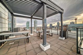 Photo 25: 1212 450 8 Avenue SE in Calgary: Downtown East Village Apartment for sale : MLS®# A2127731